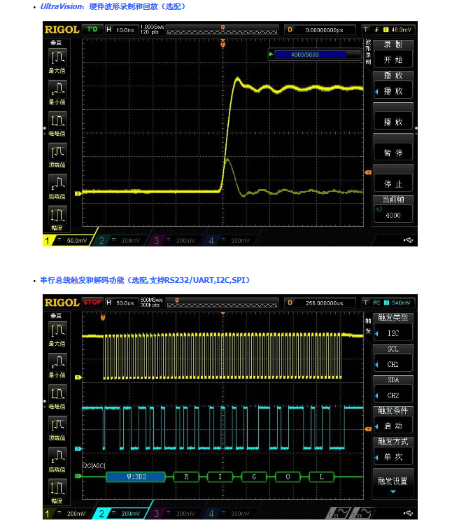 DG4000004.jpg DG4000004.jpg