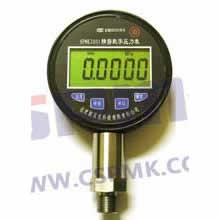 ־܉SPMK2001(0.2%)